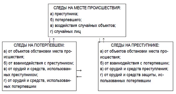 Рис. 5. Система следов преступления